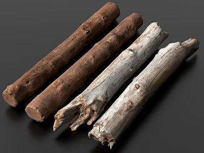 Natural Wood Logs With Varied Textures And Brown White Tones 3d model
