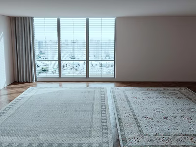 Two Patterned Square Rugs with Different Colors in Room with Wooden Floor and Large Windows 3d model