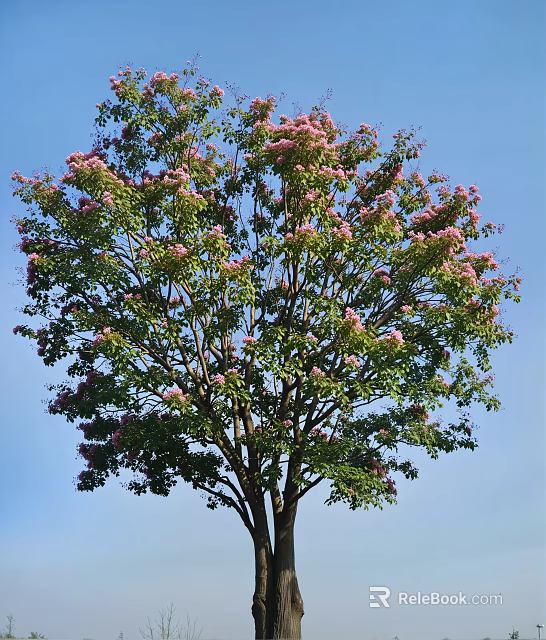 Tall Tree Blooming With Pink Flowers And Green Leaves Against Blue Sky 3d model 