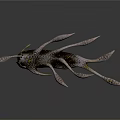 Black Biological Organ Structure With Golden Spiky Hairs And Unique Design