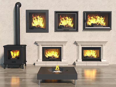 Variety Of Fireplace Designs In Cozy Living Room 3d model