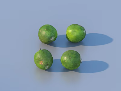 Four Round Green Fruits On Light Blue Background With Shadows 3d model