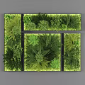 Living Plant Wall Featuring Modular Panels And Various Green Indoor Plants