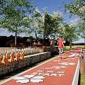 Scenic Municipal Road With Red Path Runners Distance Markers Trees Benches And Trash Bins