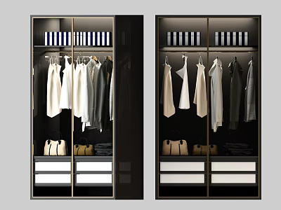 Modern Wardrobe Interior With Hanging Clothes Storage Boxes Drawers And Bags 3d model