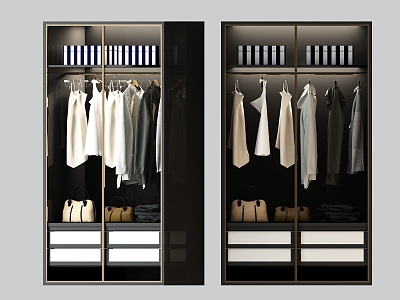 Modern wardrobe model