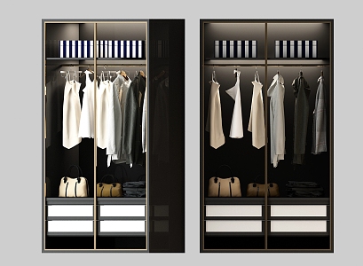 Modern wardrobe 3d model