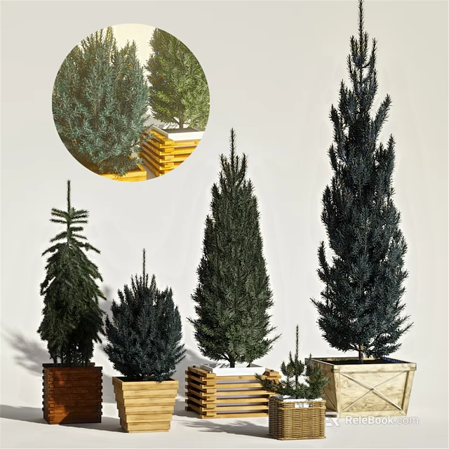 Decorative Ornament Set Featuring Evergreen Trees In Various Heights And Wooden Planters 3d model 