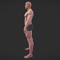 Muscular Bald Man 3D Model Standing in Blue Shorts and Bare Torso