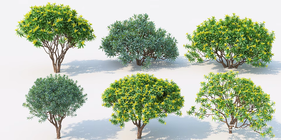 Various Garden Shrubs With Green Foliage Yellow Flowers And Different Shapes 3d model 