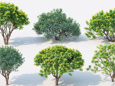 Various Garden Shrubs With Green Foliage Yellow Flowers And Different Shapes 3d model