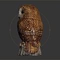 Modern owl grimaces owl long-eared owl 3d model