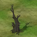 Isolated Dead Bush With Twisted Branches And Exposed Roots On Grass Field