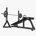 Professional Weight Bench With Barbell And Weight Plates For Fitness Training