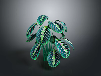Vibrant Green Houseplant With Striking Striped Foliage For Indoor Decor 3d model