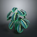 Vibrant Green Houseplant With Striking Striped Foliage For Indoor Decor
