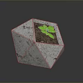 Small Green Plant In Hexagonal White Marble Textured Planter With Soil