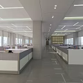 Public Office Space with Spacious Layout Modern Ceiling Design Large Windows and Natural Light 3d model