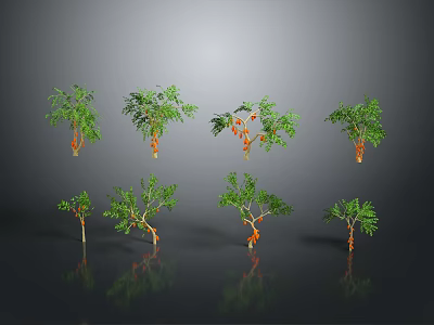 Various Green Plants With Different Heights And Leaf Shapes On Gray Background 3d model