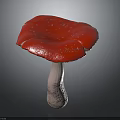 Red Mushroom Plant With Shiny Vibrant Red Cap And Light Colored Stem On Dark Background