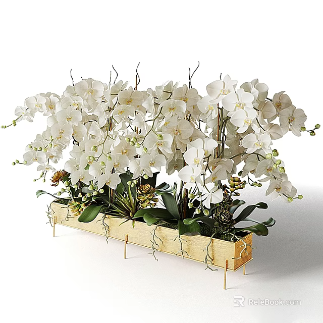 White Orchid Bonsai Potted Plant in Wooden Planter Box with Multiple Stems and Green Leaves 3d model 