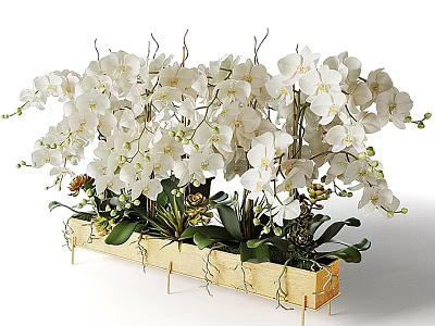 White Orchid Bonsai Potted Plant in Wooden Planter Box with Multiple Stems and Green Leaves 3d model