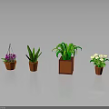Various Hanging And Potted Plants With Green Leaves Purple White Flowers In Orange Brown Pots