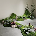 Indoor Landscape With Green Moss Rock Formations And Various Fern Plants