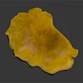 Bright Yellow Fresh Vegetable Mushroom with Smooth Surface and Dark Background Reflection