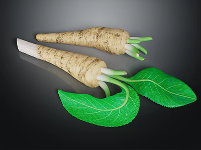 Two Fresh Parsnip Roots With Vibrant Green Leaves On Dark Background 3d model