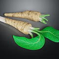 Two Fresh Parsnip Roots With Vibrant Green Leaves On Dark Background