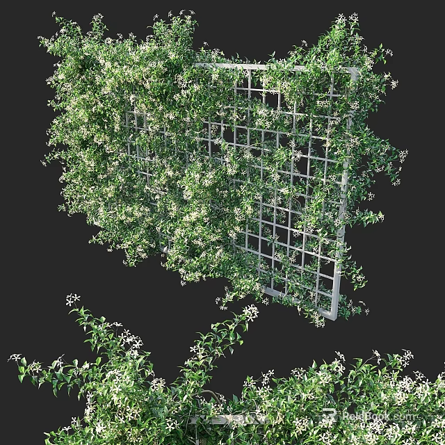 Decorative Garden Trellis Covered With Lush Climbing Plants And White Flowers 3d model 