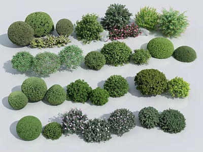 Various Shaped And Sized Bushes With Green Foliage And Purple Flowers 3d model