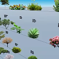 Arbor Plant Selection With Specifications Viewing And Deciduous Periods For Intuitive Choice 3d model