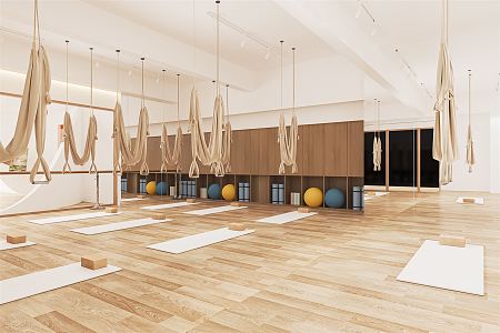 Modern Yoga Room Private Teaching Room Gym Pilates Exercise Room Yoga Mat Yoga Ball Hanging Rope Hanging Ring 3d model