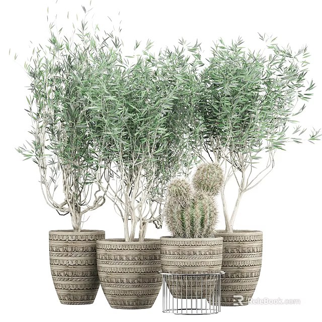 Bonsai Potted Plants with Olive Trees and Cacti in Woven Textured Planters on Metal Stand 3d model 