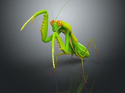 Modern mantis knife-winged insect 3d model