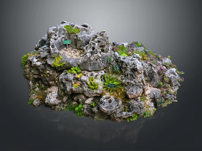 Natural Wood And Stone Rock Structure Decorated With Moss And Green Plants 3d model