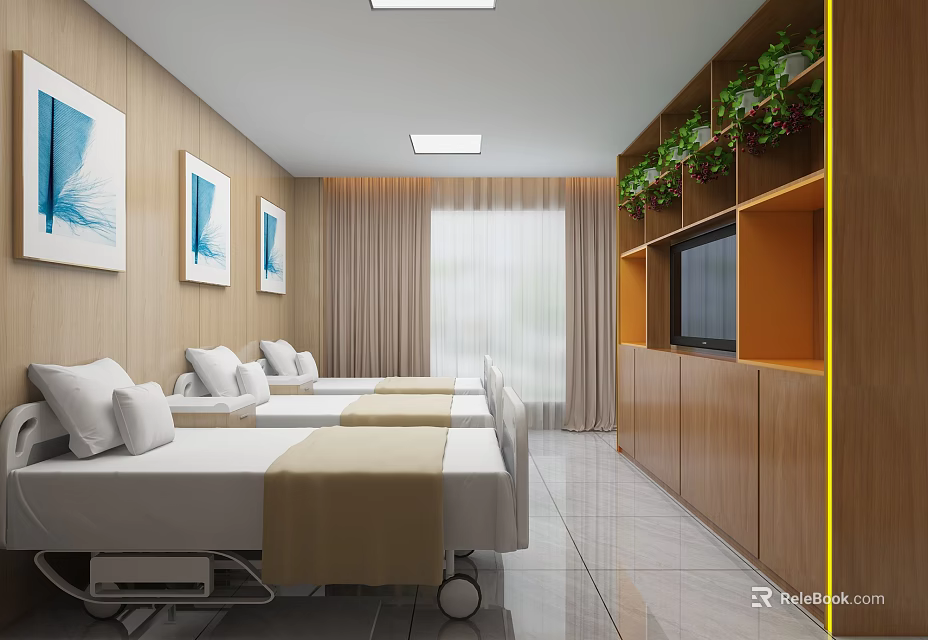 Hospital Room Interior With Two Beds Wooden Furniture Green Plants And TV 3d model 