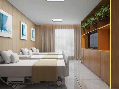 Hospital Room Interior With Two Beds Wooden Furniture Green Plants And TV 3d model