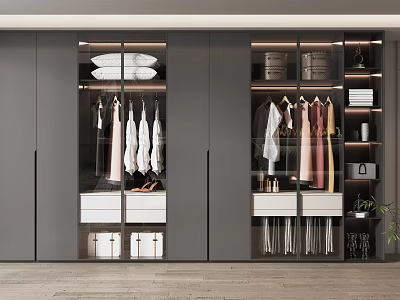 Modern Wardrobe Interior Design With Glass Doors Hanging Rods Drawers And Storage Shelves 3d model