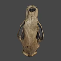 Detailed Animal Skull Fossil With Sharp Teeth And Hollow Eye Sockets