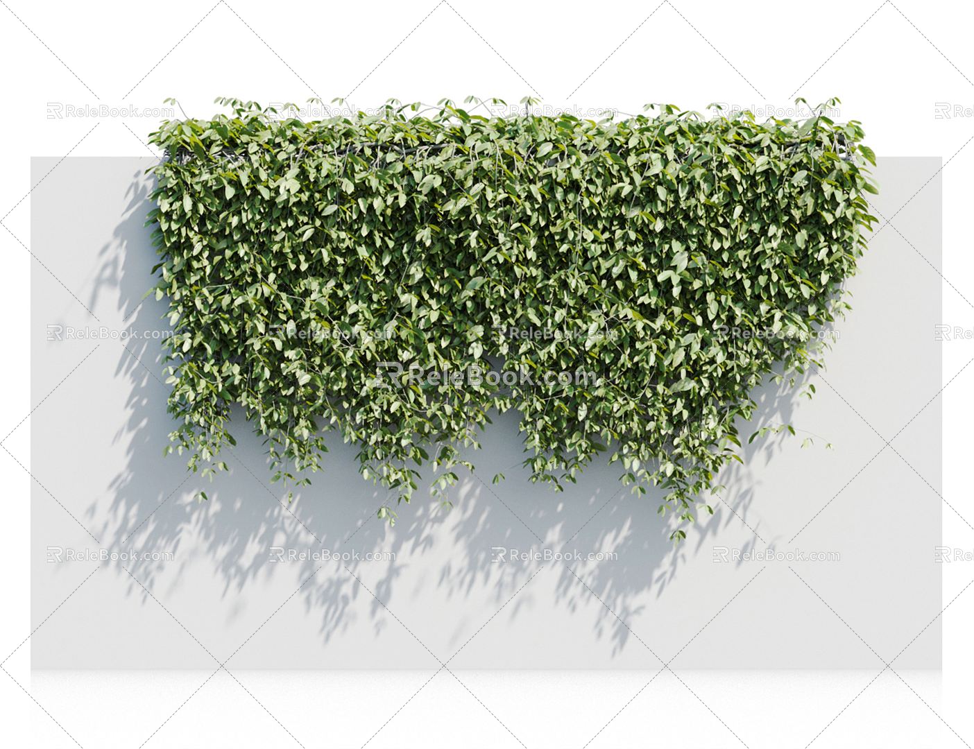 Modern Vine Vine Plant 3d model