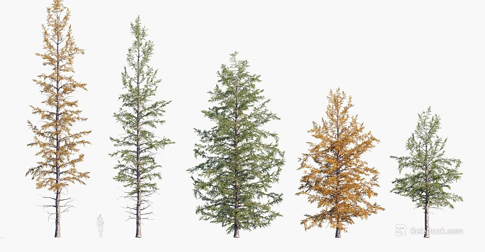 Various Types of Arbor Trees With Green and Yellow Foliage in Natural Setting 3d model 