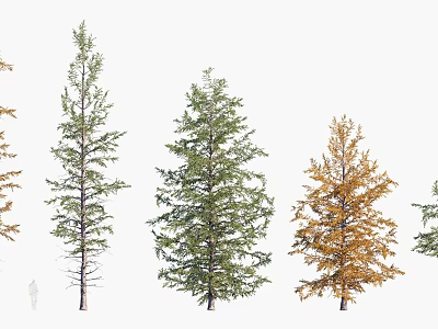 Various Types of Arbor Trees With Green and Yellow Foliage in Natural Setting 3d model