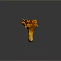 Fresh Vibrant Orange Edible Mushrooms With Gilled Caps On Dark Background