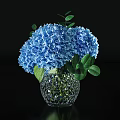 White Pink And Blue Hydrangeas In Glass Vases On Black Tabletop With Green Leaves