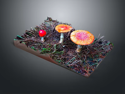 Fresh Edible Red And Orange Mushrooms Growing On Grass With Dirt And Moss 3d model