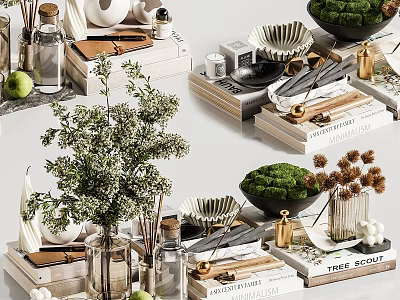 Minimalist Daily Living Essentials With Green Plants Vases Books Jars And Natural Elements Arranged 3d model