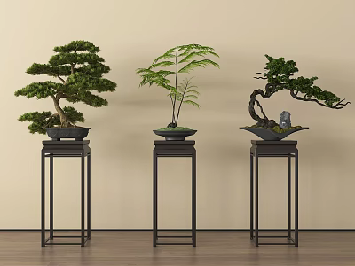 Elegant Indoor Bonsai Plants Display On Stylish Black Stands With Varied Foliage 3d model